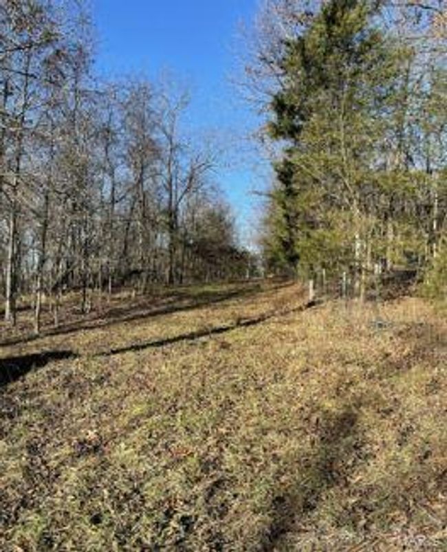 1838 Stollmeyer Rd, Home with 3 bedrooms, 2 bathrooms and null parking in Morrison MO | Image 67