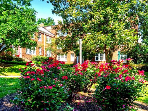 10532-1811 Key Blvd, ARLINGTON, VA, 22201-3236 | Card Image