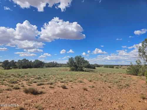 47-144 Tamarisk Rd, Concho, AZ, 85924 | Card Image