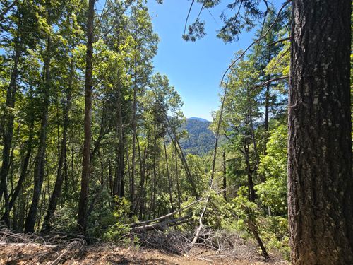 00 Mattole Road, Honeydew, CA, 95545 | Card Image