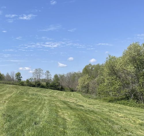 3527 W 36 Highway, Cynthiana, KY, 41031 | Card Image