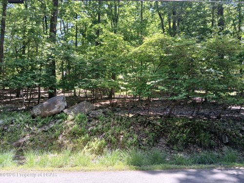 251 Bear Run Dr, DRUMS, PA, 18222-1204 | Card Image