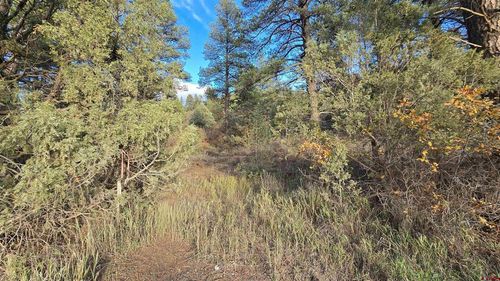 244 Ute Dr, Pagosa Springs, CO, 81147-8604 | Card Image