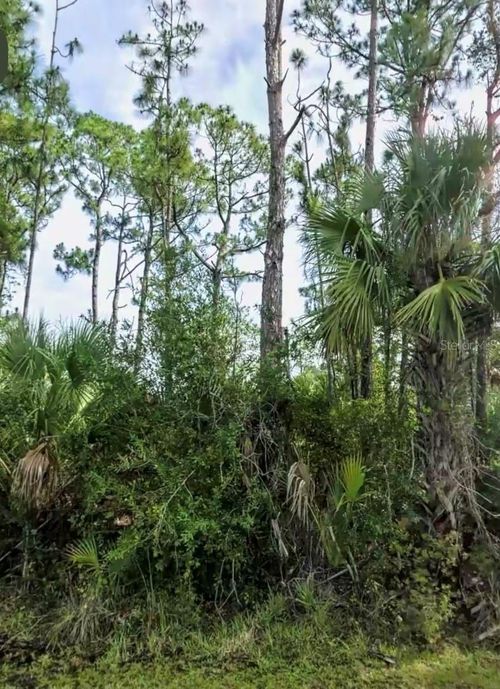 Lot 17 Donatello Ave, NORTH PORT, FL, 34286 | Card Image