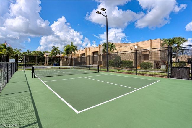 Pickle Ball | Image 36