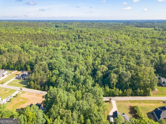 LOT-131 - 0 Hunter Welch Pkwy, Home with 0 bedrooms, 0 bathrooms and null parking in Luthersville GA | Image 9