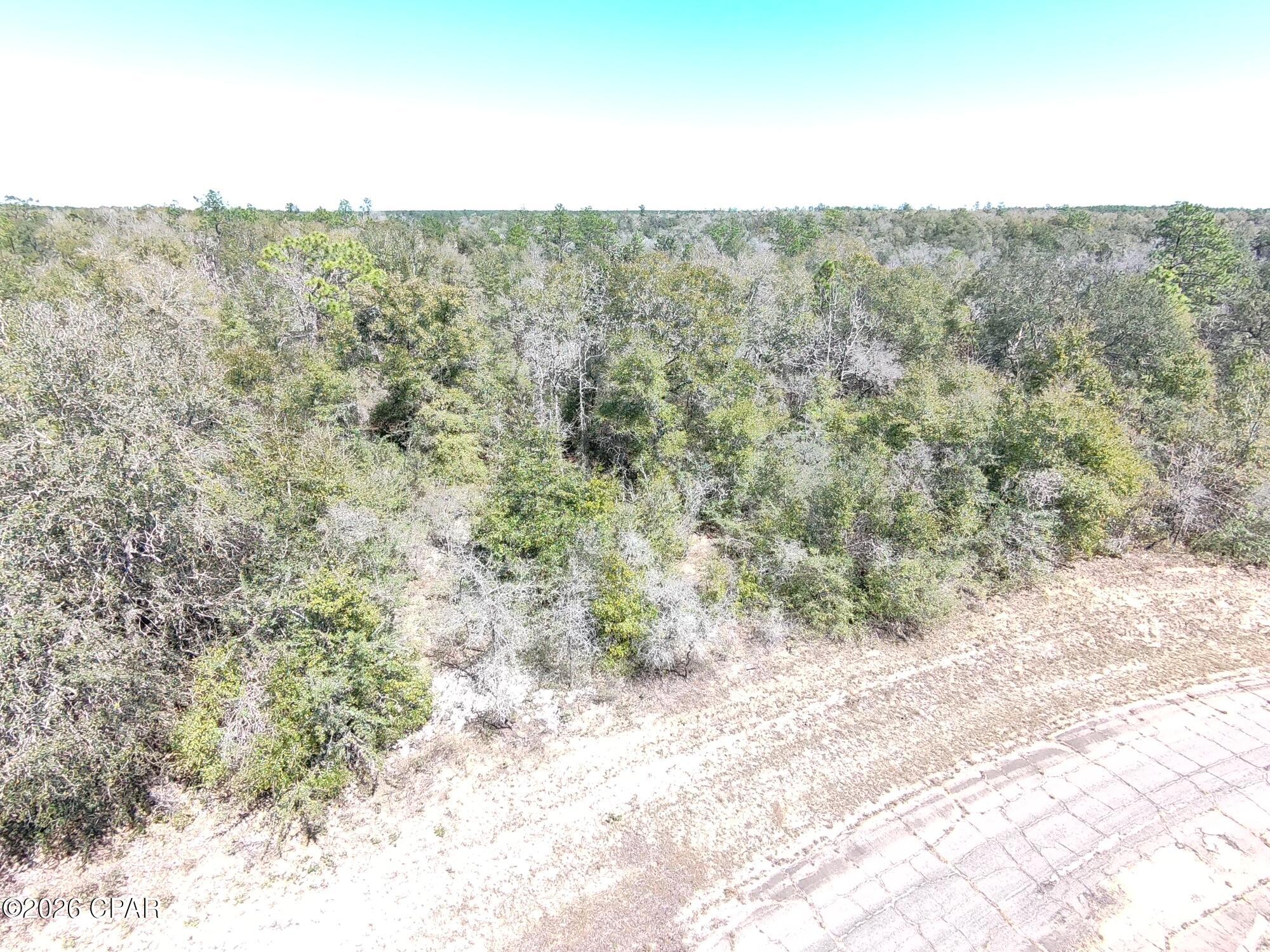 Land in Chipley 2