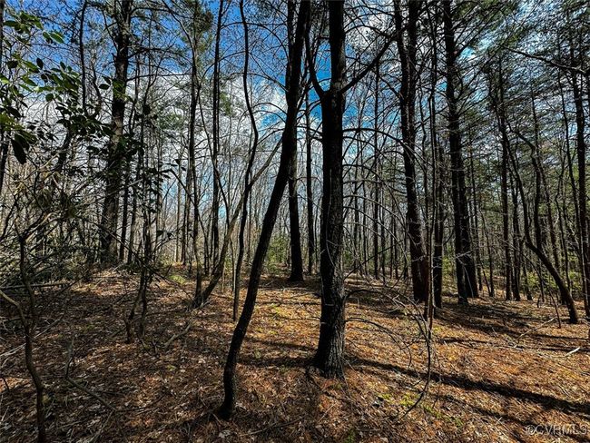 41.18 Acres (Off Of) Pole Bridge Rd, Home with 0 bedrooms, 0 bathrooms and null parking in Stuart VA | Image 25