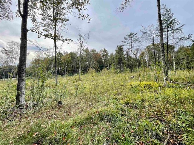 2209 Underpass Rd, Home with 0 bedrooms, 0 bathrooms and null parking in Sutton VT | Image 9