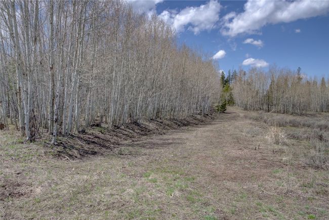 View of local wilderness | Image 12