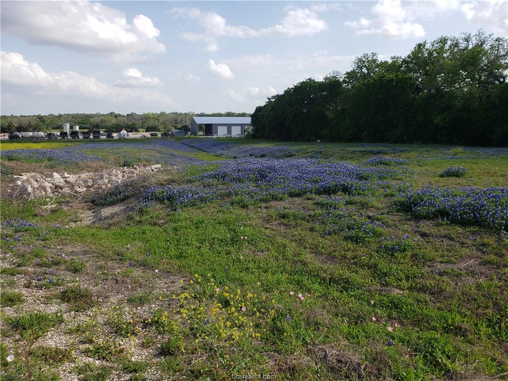 Land in Brenham 5