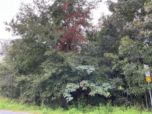 LOT 1 Pine Radial Run, Ocala, FL, 34472 | Card Image