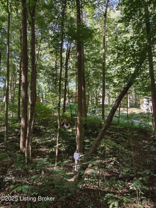 71 Bull Frog Trl, Scottsville, KY, 42164-7799 | Card Image