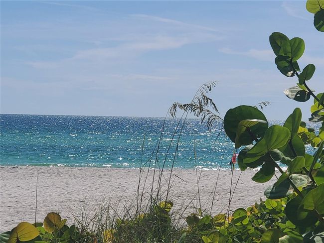 Coquina Beach- Anna Maria Island | Image 42