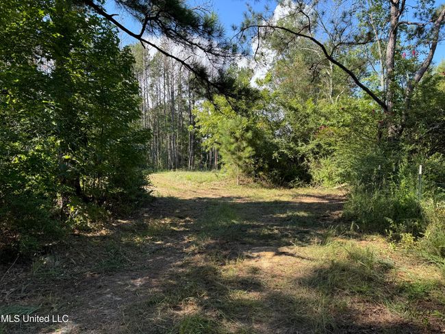 land-for-sale-lincoln-county-ms 5 | Image 12