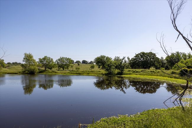 Another angle of the largest pond | Image 8