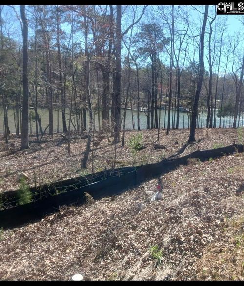 1061 Refuge Place, Chapin, SC, 29036 | Card Image