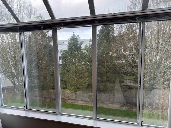 Views from Livingroom | Image 11