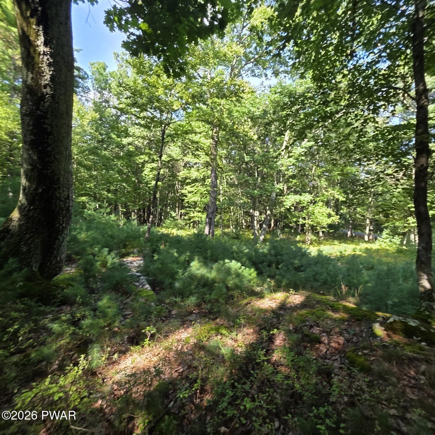 Land in Dingmans Ferry 2