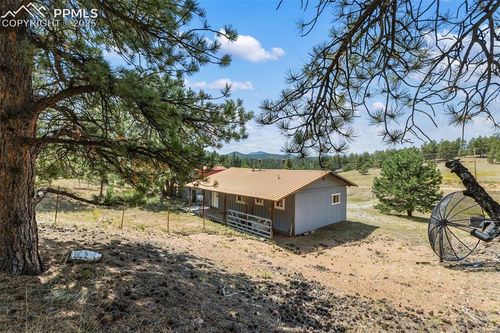 272 Spring Valley Trl, FLORISSANT, CO, 80816-9233 | Card Image