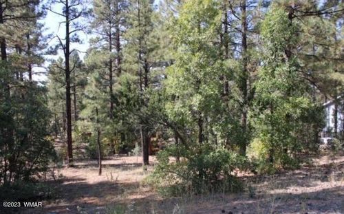 1160 S Cherokee Dr, Show Low, AZ, 85901-2800 | Card Image