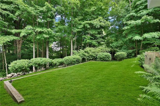 Lots of room to play and relax. There's a hammock in the trees awaiting you! | Image 31