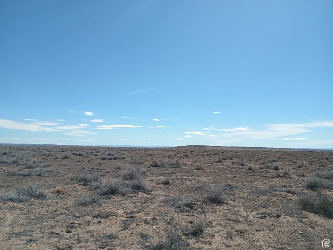 View of local wilderness with view of desert | Image 4