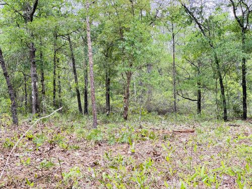 E E Black Cherry Dr, DeFuniak Springs, FL, 32433 | Card Image
