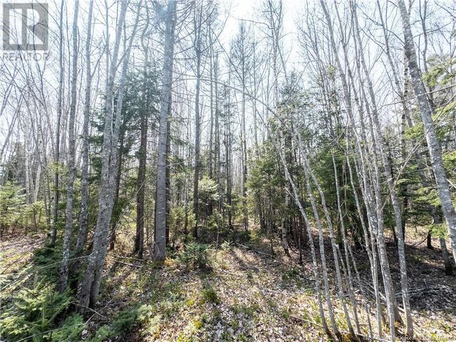 1387 Bells Mills Rd, Home with 0 bedrooms, 0 bathrooms and null parking in Richibouctou-Village NB | Image 15