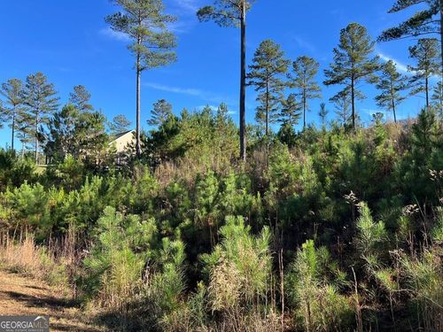 Lot 313 The Cove At 1300, Blairsville, GA, 30512 | Card Image