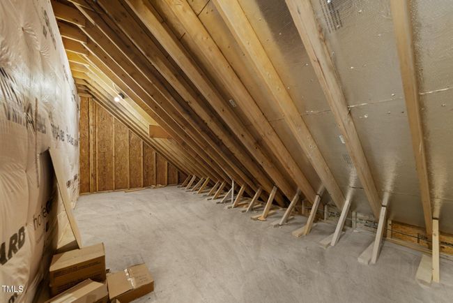 30-web-or-mls-3D5A3045 | Image 42
