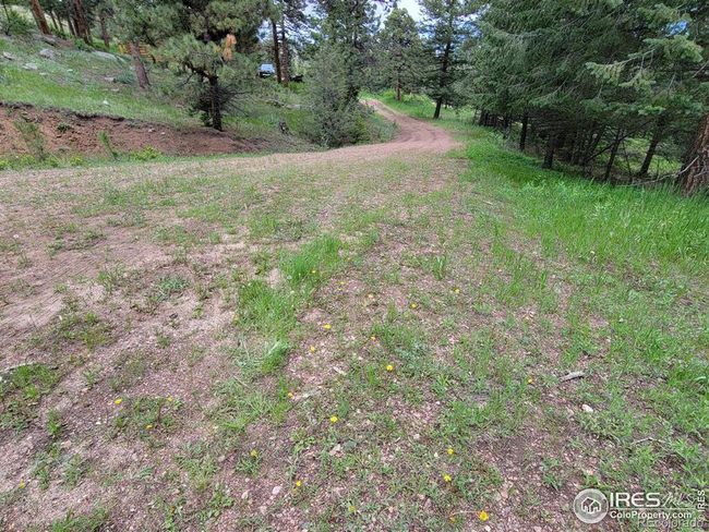 1 Mountain Lion Track Court, Home with 0 bedrooms, 0 bathrooms and null parking in Livermore CO | Image 5