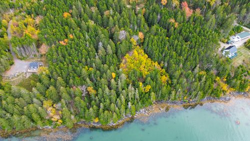 265 Nepp Point Rd, Roque Bluffs, ME, 04654 | Card Image