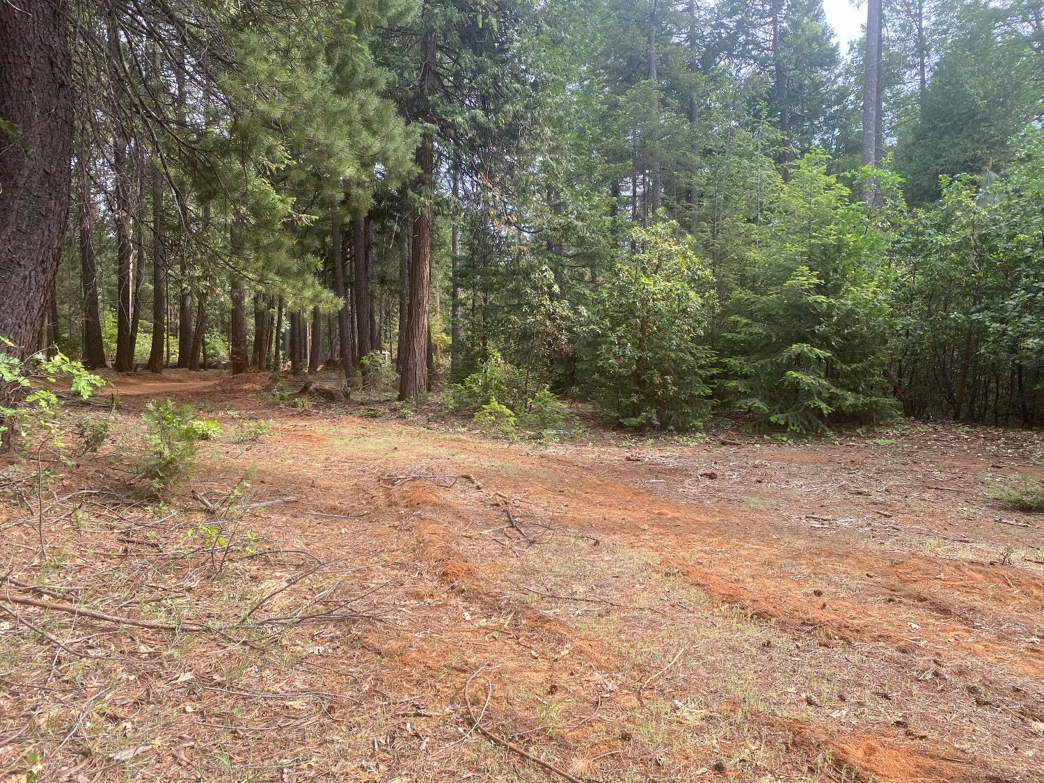 Land in Georgetown 4