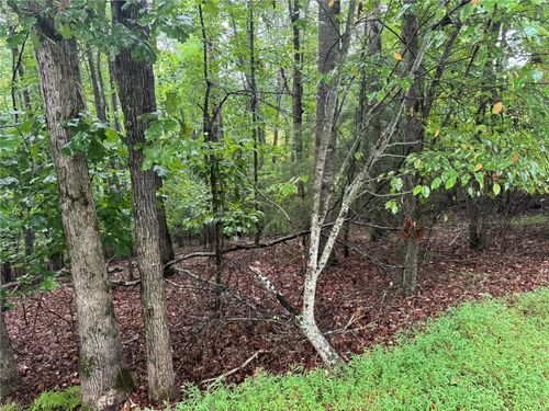 0 Enchanted Woods Dr, Blairsville, GA, 30512 | Card Image