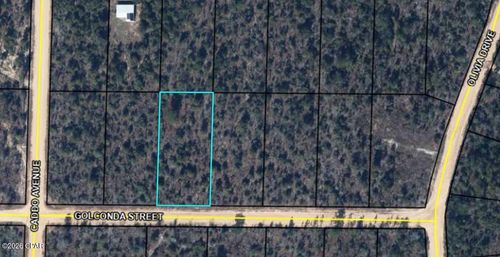 0 Golconda St, ALFORD, FL, 32420 | Card Image