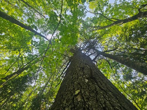 2016 2016 Hudson Road, Hudson, ME, 04449 | Card Image