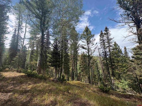 425 Rim Rd, Cimarron, CO, 81220-9524 | Card Image