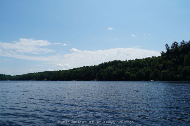 29 Thorburn Lane, Home with 0 bedrooms, 0 bathrooms and null parking in Huntsville ON | Image 9