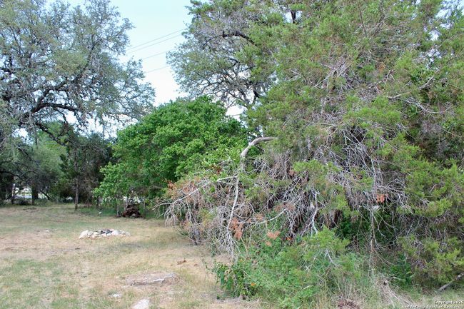 0 Tbd, Home with 0 bedrooms, 0 bathrooms and null parking in Spring Branch TX | Image 8