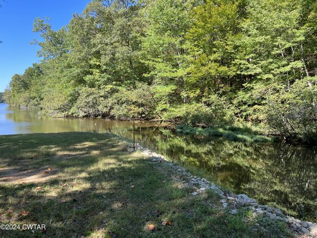 000 Cypress Cv, Home with 0 bedrooms, 0 bathrooms and null parking in Lexington TN | Image 19