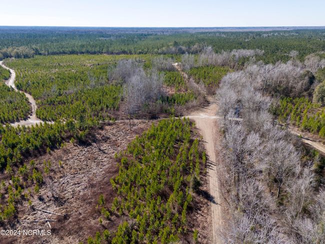 00 Sykes Town Rd, Home with 0 bedrooms, 0 bathrooms and null parking in Currie NC | Image 7
