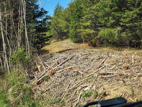 ---- Busler Rd, Bybee, TN, 37713 | Card Image