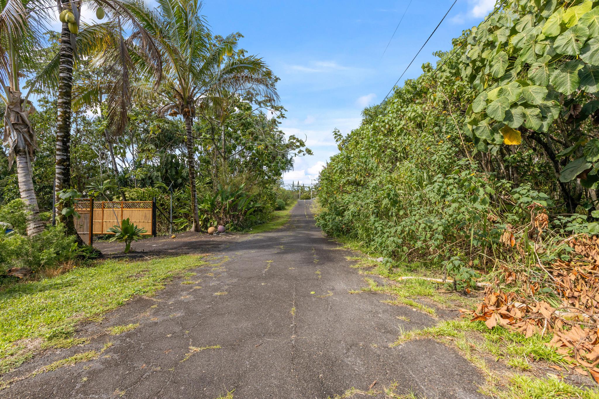 Land in Pahoa