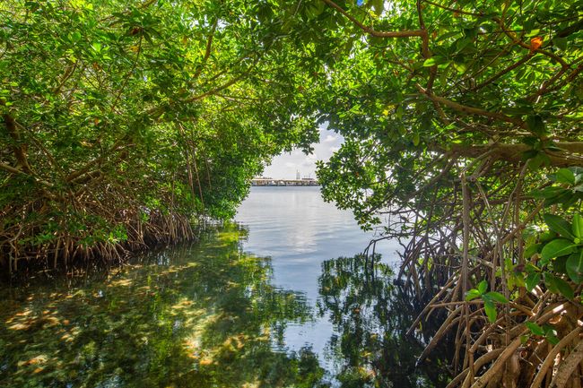 901 Eisenhower Drive, Key West | Image 5