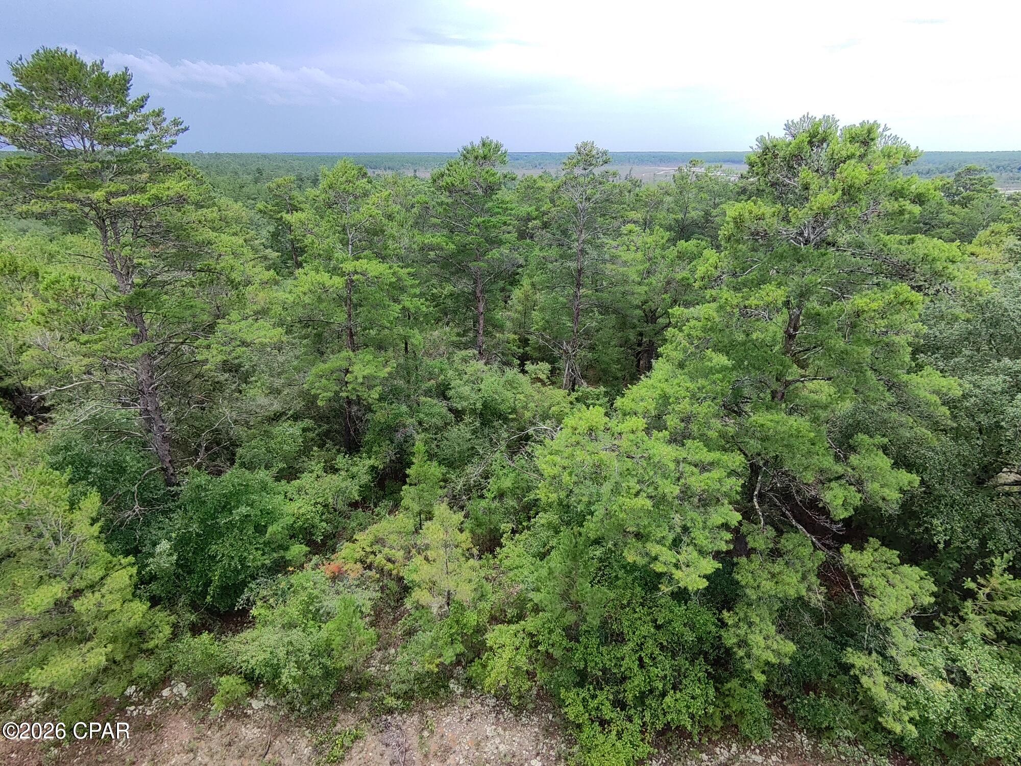 Land in Chipley 4