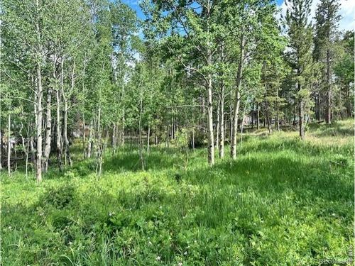 293 Aspen Cir, Black Hawk, CO, 80422-4503 | Card Image