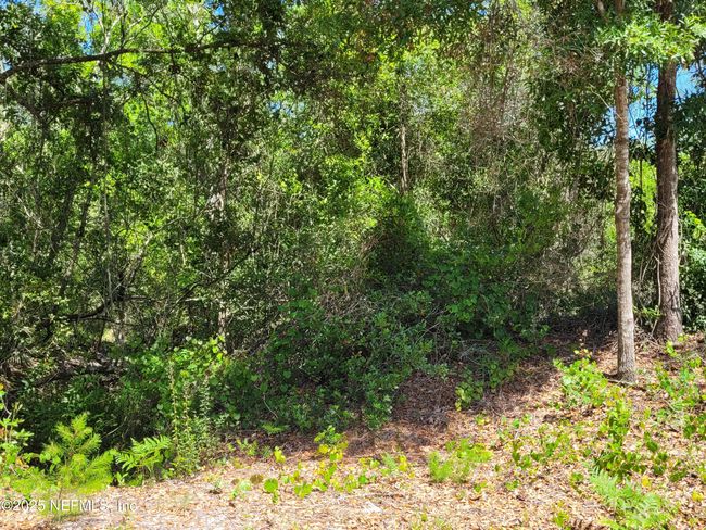2155 State Road 40, Home with 0 bedrooms, 0 bathrooms and null parking in De Leon Springs FL | Image 80