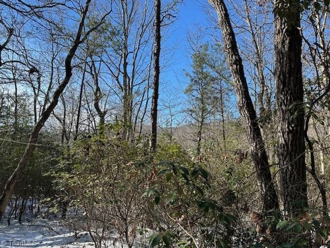0 Old Railroad Grade Rd, Home with 0 bedrooms, 0 bathrooms and null parking in Thurmond NC | Image 11