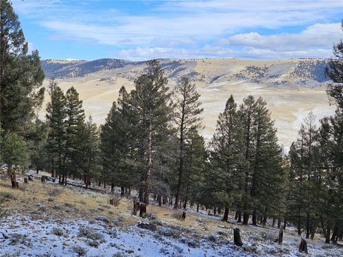 4260 Middle Fork Vis, Fairplay, CO, 80440 | Card Image